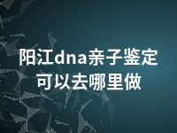 阳江dna亲子鉴定可以去哪里做