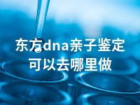 东方dna亲子鉴定可以去哪里做