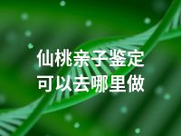 仙桃亲子鉴定可以去哪里做