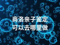 商洛亲子鉴定可以去哪里做