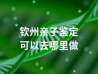 钦州亲子鉴定可以去哪里做