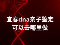 宜春dna亲子鉴定可以去哪里做