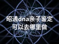 昭通dna亲子鉴定可以去哪里做