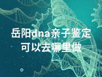 岳阳dna亲子鉴定可以去哪里做