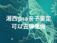 湘西dna亲子鉴定可以去哪里做