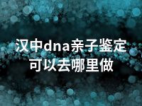 汉中dna亲子鉴定可以去哪里做