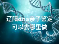 辽阳dna亲子鉴定可以去哪里做