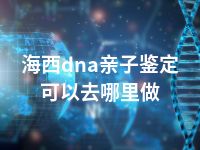 海西dna亲子鉴定可以去哪里做