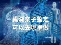 巢湖亲子鉴定可以去哪里做