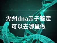 湖州dna亲子鉴定可以去哪里做