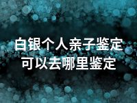 白银个人亲子鉴定可以去哪里鉴定