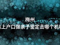 梅州小孩上户口做亲子鉴定去哪个机构做