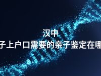 汉中孩子上户口需要的亲子鉴定在哪做