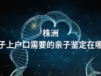 株洲孩子上户口需要的亲子鉴定在哪做