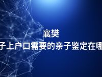 襄樊孩子上户口需要的亲子鉴定在哪做