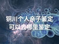 铜川个人亲子鉴定可以去哪里鉴定