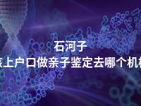 石河子小孩上户口做亲子鉴定去哪个机构做