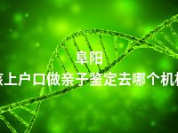 阜阳小孩上户口做亲子鉴定去哪个机构做