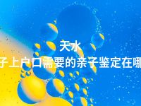 天水孩子上户口需要的亲子鉴定在哪做