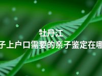 牡丹江孩子上户口需要的亲子鉴定在哪做