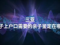 三亚孩子上户口需要的亲子鉴定在哪做