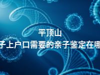 平顶山孩子上户口需要的亲子鉴定在哪做