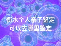 衡水个人亲子鉴定可以去哪里鉴定