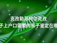 克孜勒苏柯尔克孜孩子上户口需要的亲子鉴定在哪做