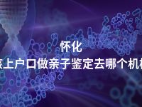 怀化小孩上户口做亲子鉴定去哪个机构做