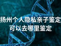 扬州个人隐私亲子鉴定可以去哪里鉴定