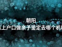 朝阳小孩上户口做亲子鉴定去哪个机构做