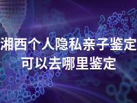 湘西个人隐私亲子鉴定可以去哪里鉴定