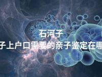 石河子孩子上户口需要的亲子鉴定在哪做