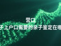 营口孩子上户口需要的亲子鉴定在哪做