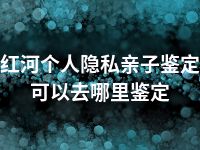 红河个人隐私亲子鉴定可以去哪里鉴定