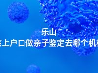 乐山小孩上户口做亲子鉴定去哪个机构做