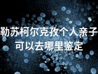 克孜勒苏柯尔克孜个人亲子鉴定可以去哪里鉴定