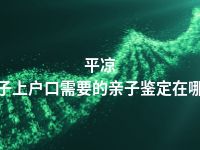 平凉孩子上户口需要的亲子鉴定在哪做