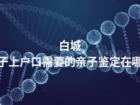 白城孩子上户口需要的亲子鉴定在哪做