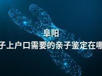 阜阳孩子上户口需要的亲子鉴定在哪做